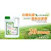 JieFen潔芬 抗菌地板清潔劑-綠茶2000ml