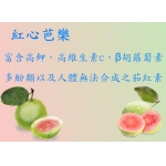 白堊園　天然紅心芭樂水果干100g